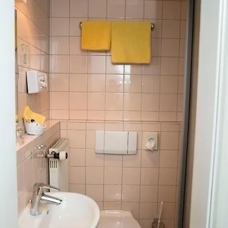 Schonberger Hof 3* 海德堡