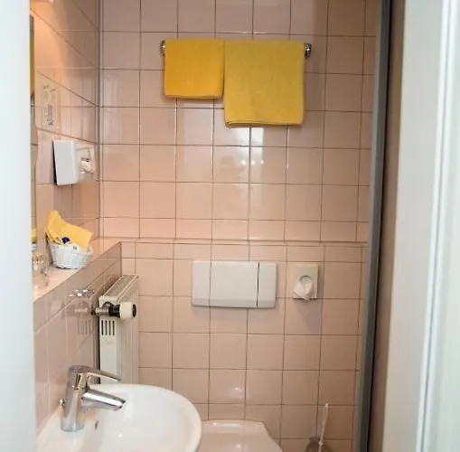 Schonberger Hof 3* 하이델베르크